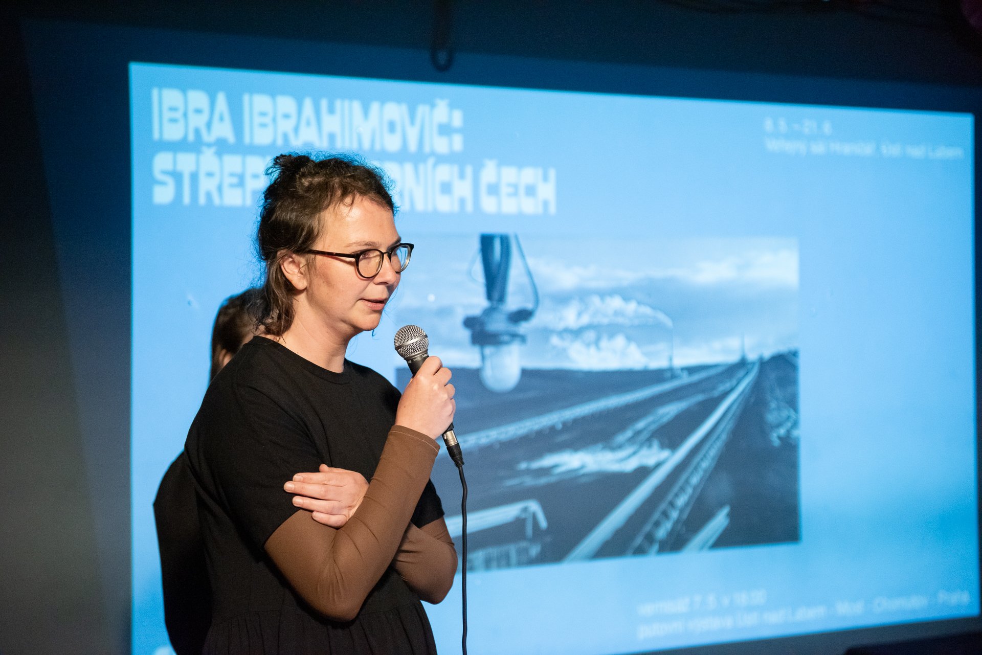 ibra-ibrahimovac-vernisaz-1006-DSD-9305.jpeg